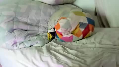 alaskalovestar online show from January 9, 8:52 am