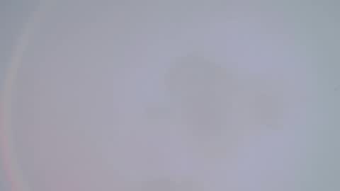     online show from February 14, 1:34 am