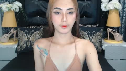 HOLLY online show from July 3, 12:33 pm