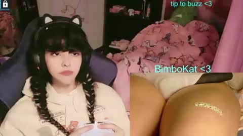 BimboCat online show from July 11, 11:30 pm