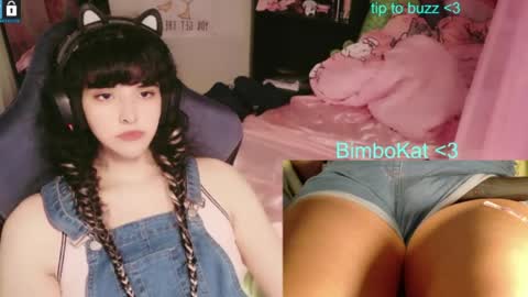 BimboCat online show from July 31, 10:21 pm