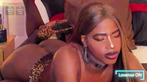 Brandy online show from March 26, 8:34 pm