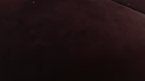 diorder online show from December 28, 9:52 am