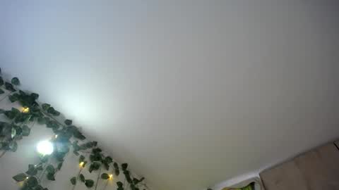 dominic_sofia online show from June 18, 12:10 pm