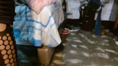 dreamreal online show from November 28, 11:22 am