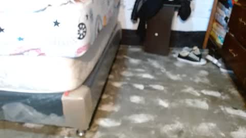 dreamreal online show from April 11, 10:52 am