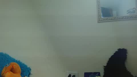Snapshot of fenixmfx chatting on October 19, 6:22 pm Fenix online show from October 19, 6:22 pm