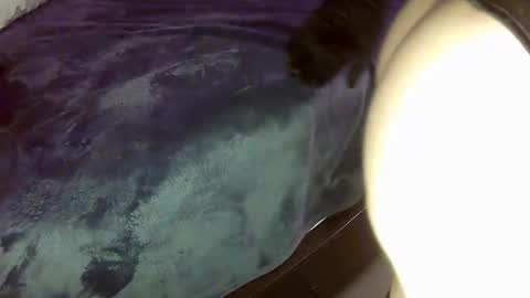 gapper6969 online show from December 16, 9:53 pm