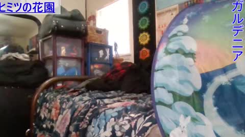 Snapshot of gardeniaspear chatting on January 8, 6:31 pm Gardenia online show from January 8, 6:31 pm