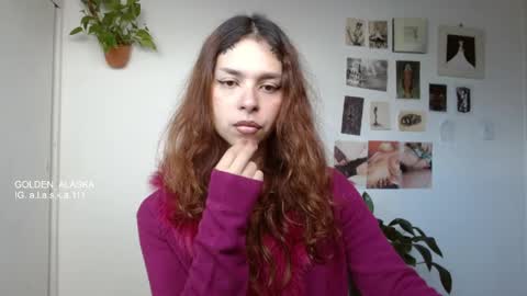 Alaska online show from November 7, 11:54 am