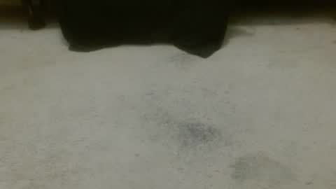 Holly Hawkes online show from November 6, 12:54 am