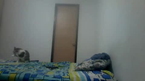 karlhats2023 online show from December 30, 12:11 am