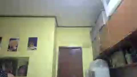 lilysette online show from June 22, 11:51 am