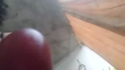 little_cat1201 online show from April 5, 10:41 pm