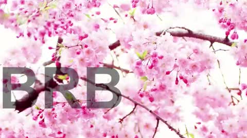 Lorraine online show from November 13, 9:00 pm