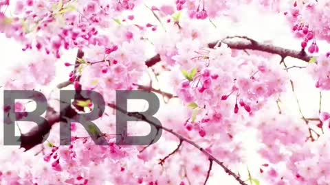 Lorraine online show from December 18, 6:57 pm