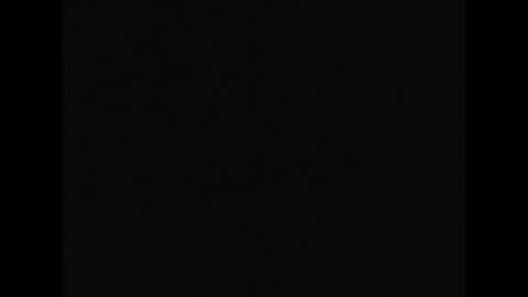 lumiere nuit online show from November 2, 1:03 am