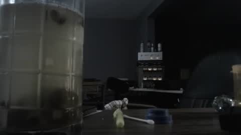 I am usually high and horny...lol online show from October 21, 12:47 am