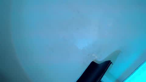 Snapshot of my_other_half chatting on February 8, 8:31 am Serena online show from February 8, 8:31 am