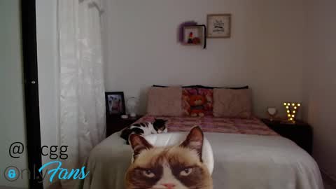 Snapshot of ninnarousse chatting on February 4, 8:17 pm Ninna Rousse online show from February 4, 8:17 pm