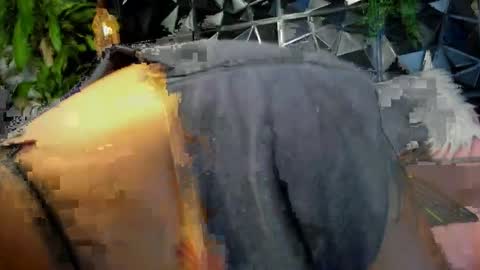 noha online show from April 4, 4:16 pm