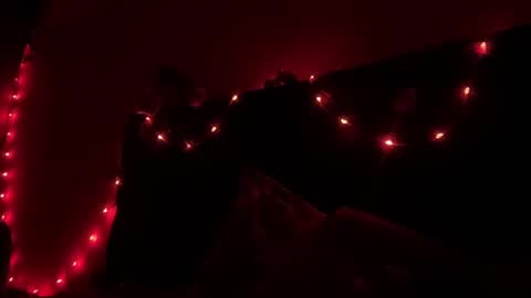 NOVA online show from October 19, 2:48 am