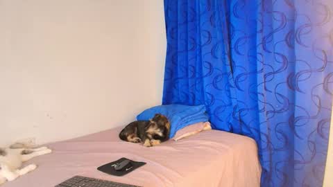 LU online show from November 2, 7:34 pm