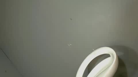 ARA online show from October 31, 6:49 pm