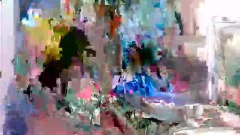 OverdoseCum4Car online show from April 6, 7:08 am