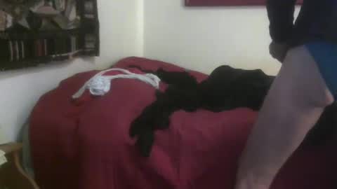 Snapshot of pantyman6216 chatting on March 12, 12:42 am pantyman6216 online show from March 12, 12:42 am