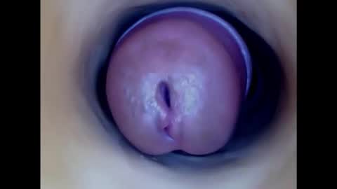 Paula 18 Aninhos online show from November 9, 7:25 pm