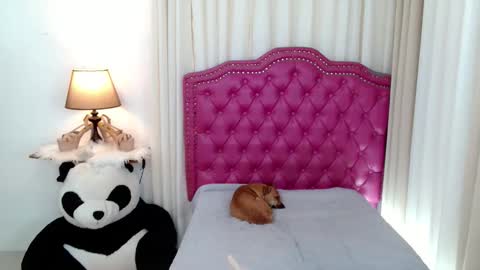 princessyanzy1 online show from January 8, 1:53 am