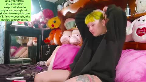 Sky Burrito online show from March 27, 3:24 pm