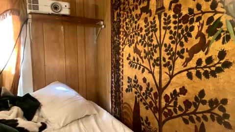 DestinyMagick online show from November 25, 5:26 pm