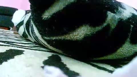 sensualnatasha online show from February 27, 8:09 pm