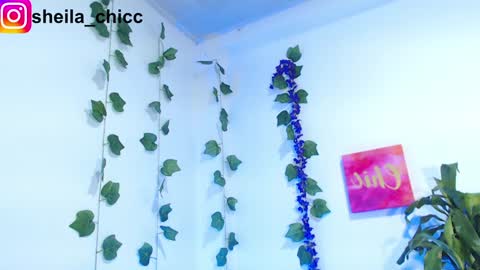 SHEILA  online show from December 9, 7:39 pm