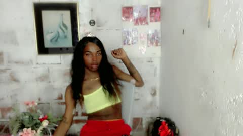 Snapshot of shellmy chatting on December 7, 4:09 pm shellmy online show from December 7, 4:09 pm