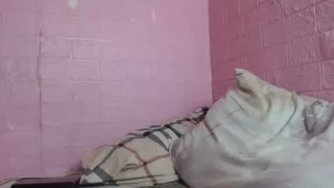 Snapshot of skinnybigcock_georgia chatting on January 12, 9:40 pm skinnybigcock_georgia online show from January 12, 9:40 pm