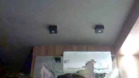 skinnykittencam online show from November 11, 3:58 pm