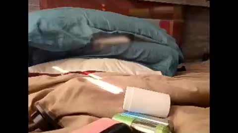 Nastyguurl online show from March 30, 1:56 pm