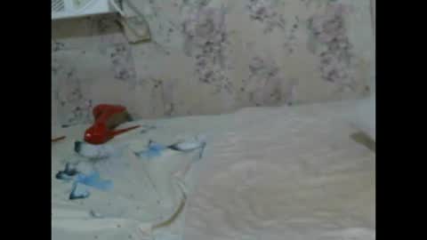 Snapshot of soullessmistressts chatting on February 1, 3:50 pm Soulless Jenica online show from February 1, 3:50 pm