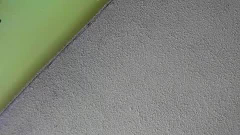 sussan_nasty online show from December 16, 1:38 pm