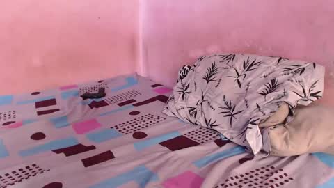 sweet_tianiss4 online show from February 4, 8:35 pm