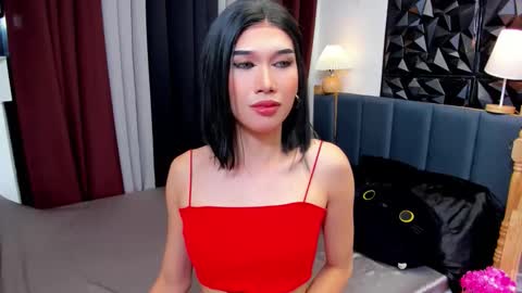 dan and jc online show from November 8, 3:34 pm