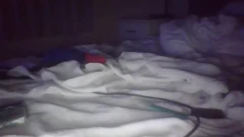 Ts Kimberly Morningstar online show from November 2, 2:42 am