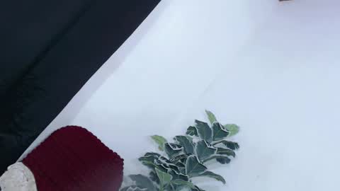 yams_kitty69 online show from November 22, 9:22 am