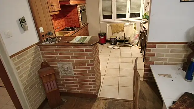 Prxscillia Tx online show from March 26, 8:45 pm