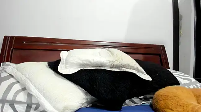 aleziiacam online show from February 14, 3:11 am