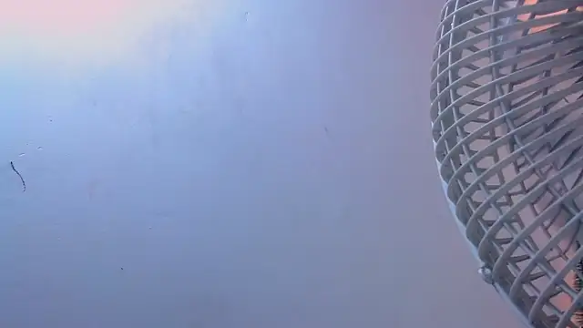 Molly Spears online show from December 7, 11:45 am