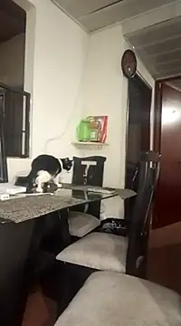 giuliana andrade online show from December 10, 11:10 pm